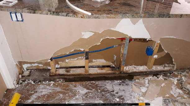 Best Water damage restoration near me  in Anna, OH