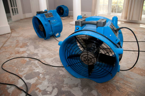 Best Professional water damage repair  in Anna, OH