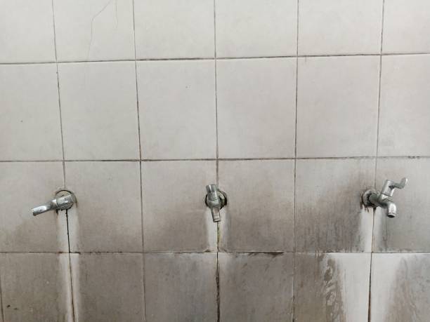 Best Basement water damage restoration  in Anna, OH