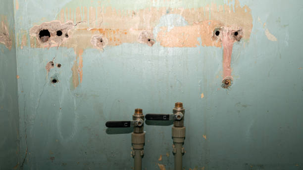 Best Water damage restoration near me  in Anna, OH