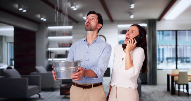 Best Mold removal after water damage  in Anna, OH